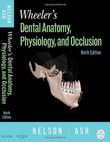 By Stanley J. Nelson DDS MS: Wheeler's Dental Anatomy, Physiology and Occlusion Ninth (9th) Edition