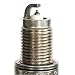 Search Our Specialty Mall : Denso 3401 Iridium Plug
