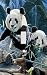 Panda Switchplate Cover