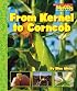 From Kernel to Corncob (Scholastic News Nonfiction Readers: How Things Grow)