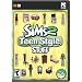 The Sims 2: Teen Style Stuff