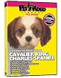 CAVALIER KING CHARLES SPANIEL DVD! Includes Dog & Puppy Training Video