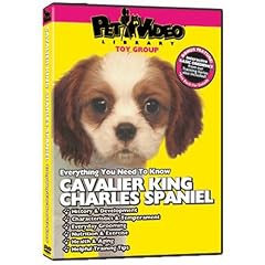 CAVALIER KING CHARLES SPANIEL DVD! Includes Dog & Puppy Training Video