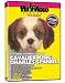 shih tzu - CAVALIER KING CHARLES SPANIEL DVD! Includes Dog & Puppy Training Video