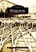 Steelton (Images of America: Pennsylvania)