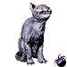 Black Cat