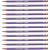 Prismacolor Col-Erase Erasable Colored Pencil PURPLE Set/12