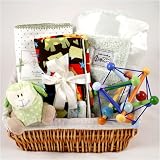 Luxury Baby Gift Basket - Sage Surprise