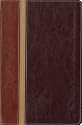 Message Parallel Study Bible-PR-NIV/MS-Numbered Personal Size