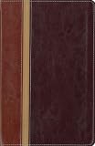 NIV | The Message® Parallel Study Bible, Personal Size: Updated Numbered Edition image