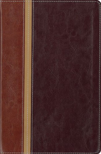 NIV/The Message Parallel Study Bible