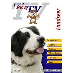 Landseer