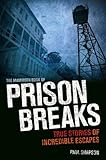 The mammoth book of prison breaks