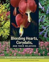 Bleeding Hearts, Corydalis, and Their Relatives