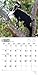 Goats in Trees 18-Month 2015 Calendar