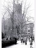 Rittenhouse Park, Philadelphia, Pennsylvania Photographic Poster Print, 24x32