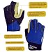 Sporting Goods : Aftco Bluefever Long Range Fishing Short Pump Gloves 2X