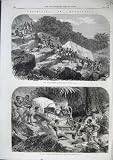 1863 Travelling Madagascar Forests Antananarivo Natives