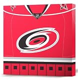 NHL Carolina Hurricanes Dark Jersey Canvas Print (20 x 20)
