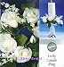 Wilton Floral Wedding Candle Ring