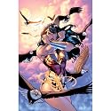 Wonder Woman #1 Poster By Terry Dodson and Rachel Dodson