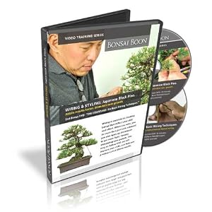 Bonsai Training Video. WIRING & STYLING: Japanese Black Pine by 