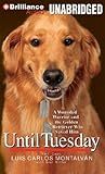 Until Tuesday: A Wounded Warrior and the Golden Retriever Who Saved Him