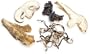 Blend, Special Stir Fry Mushroom - 15 Lb Bag / Box Each