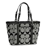 51%2BtTuTBtjL. SL160  Coach Signature 13097 East West Gallery Handbag Purse Authentic Tag black white