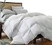 51%2BtXp3t2pL. SL75  Sunset and Vine Briar Cliff 6 Piece XL Twin Comforter Set, Yellow/Grey