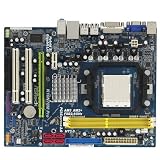 Picture of ASRock NVIDIA GeForce 8200