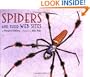 Spiders and Their Web Sites