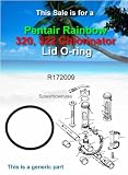 Pentair R172009 Cap O-Ring Replacement Pool and Spa Filter and Feeder