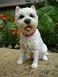WESTIE West Highland Terrier - Best of Breed Ornament Boxed Gift