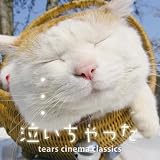 泣いちゃった!