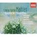 My (wonderful) custom-built Mahler cycle