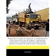 Webster's Guide to World Governments: Central African Republic, featuring President Francois Bozize and Prime Minister Faustin-Archange Touadera