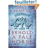 horse swinger Behold A