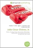 Julio César Chávez, Jr.: Boxing, Julio César Chávez, Omar Chávez, Welterweight, Middleweight, World Boxing Council, List of boxing families, Matt Vanda
