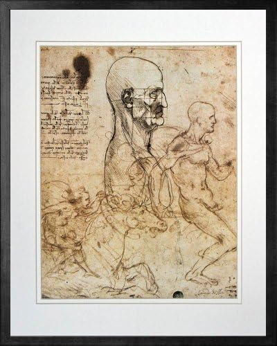 Study of the Human Physiognomy by Leonardo da Vinci. Framed Art Print Poster. Custom Made Real Wood Modern Charcoal Black Frame (17 1/8 x 21 1/8)