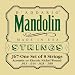 D'Addario J67 Nickel Mandolin Strings