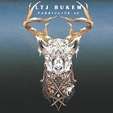 Fabric Live 46/Ltj Bukem