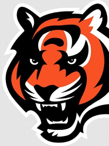 Wallpaper Fathead Fathead NFL Players and Logos Cincinnati Bengals Logo 1414009