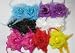 NEW DOZEN Rose with Glitter and Feather Flower Hair Clip and Pin- Wholesale, Limited.