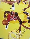 Dennis Rodman Autographed/Hand Signed Chicago Bulls 16x20 Photo(Rebounding)