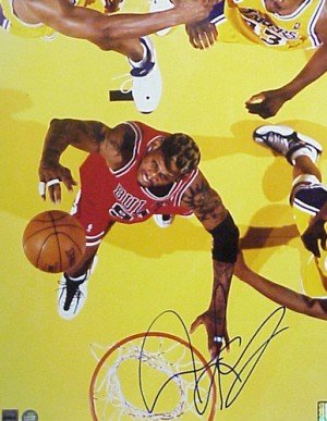 Dennis Rodman Autographed/Hand Signed Chicago Bulls 16x20 Photo(Rebounding)