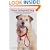 Your Adopted Dog: Everything You Need to Know about Rescuing and Caring for a Best Friend in Need