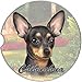 E&S Pets Black Chihuahua Coaster, 3