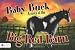 Baby Buck Arrives at the Big Red Barn