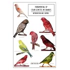 Click here to buy Fundamentals of Color Genetics in Canaries: Reproduction and Control by  Octavio Perez-Beato.